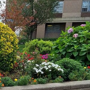 Meet your Posher, Dara